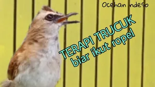 terapi suara air dan trucuk ropel riwik untuk merangsang trucukan biar bunyi ropel