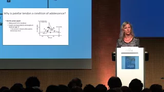 Jill Cook - Achilles vs patellar tendinopathy: rehabilitation challenges?!