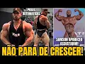 RAMON EXTREMAMENTE SECO E DENSO COM POSES AUTOMATICAS PRONTO PARA VENCER O OLYMPIA