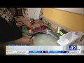 Program aims to help Mississippians on SNAP benefits
