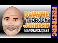 Top 10 Fun Facts about Dwayne The Rock Johnson Biography for Students Educational s
