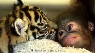 Bruno Mars Count On Me Lyrics On Screen 