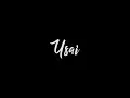 Download Lagu U S A I