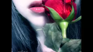 اخد قرار ربيع الاسمر Wmv 