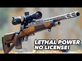 15 Most Lethal Air Rifles Available On AMAZON