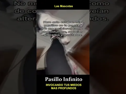 Mascotas Asutadas por Fantasma