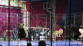 رحلة السيرك رحله ممتعه جدا  رحلة السيرك رحله ممتعه جدا