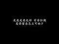 讲不出再见 谭咏麟 (歌词版)
