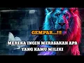 Download Lagu JIWA TERPILIH _ MEREKA INGIN MERASAKAN APA YANG KAMU MILIKI 