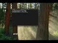 Terminal Commands using MacBook Air WEEK 2 IT210