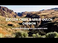 Oregon s Hidden Gems Succor Creek Leslie Gulch