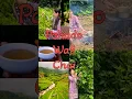 Download Lagu The Best Tea In The World#shorts #shortsfeed #shortvideo#trending#ytshorts #yt#hp#minivlog#food#chai