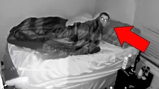 5 Video Seram Yang Menampilkan Hantu Dan Kejadian Yang Sulit Dipercaya