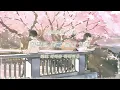 sumika - 赤春花 (feat. ikura of YOASOBI)🌸[ 가사 / 해석 / 발음 ]