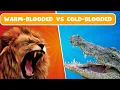 Warm-blooded vs Cold-blooded animals for kids