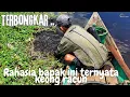 Download Lagu SEHARI BISA DAPAT 500 RIBU .. 🥰🥰 ..