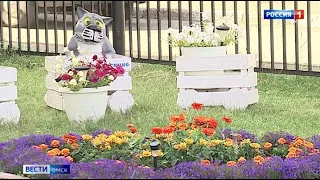 Определены финалисты городского конкурса по благоустройству дворов «Омские улицы»