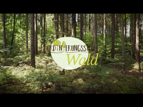 Koordinierungsstelle Wald Vorschau