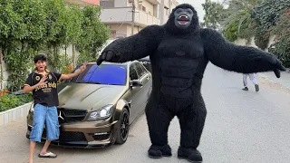 GIANT GORILLA vs MY CAR😱