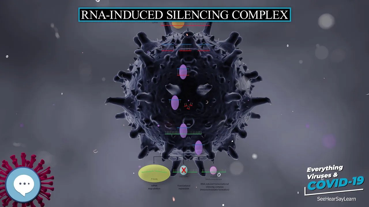 RNA induced silencing complex 🧫👩🏾‍⚕️🤒 Everything Viruses & COVID-19 🤒👩‍⚕️🧫