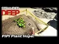 Pipi Plant Hope Stranded Deep Gameplay EP 11 Season 1