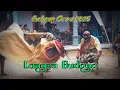 Download Lagu Gebyag Sura 2025 Pentas Barongan Langen Budoyo Perkutukan Peniron