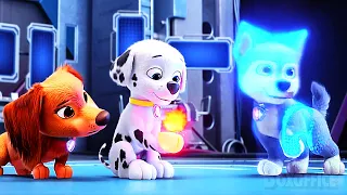 the paw patrols new superpowers paw patrol 2 the mighty movie clip