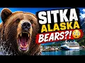 We Didn t Expect THIS in Sitka Alaska