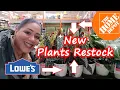 Home Depot \u0026 Lowe's Houseplant Hunt🌿| Surprise Costa Farms Restock!