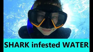 SAILING MARINA BULL SHARKS scare skipper and crew Ep 100