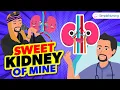Sweet Kidney of Mine Nurse Mike s Memory Music for Nursing Students