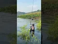 Download Lagu Spot nila waduk wadaslintang #fishing #mancing #nila