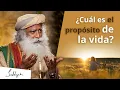 Download ¿Cuál es el propósito de la vida?│Sadhguru mp4 3gp mp3 videos - waplic