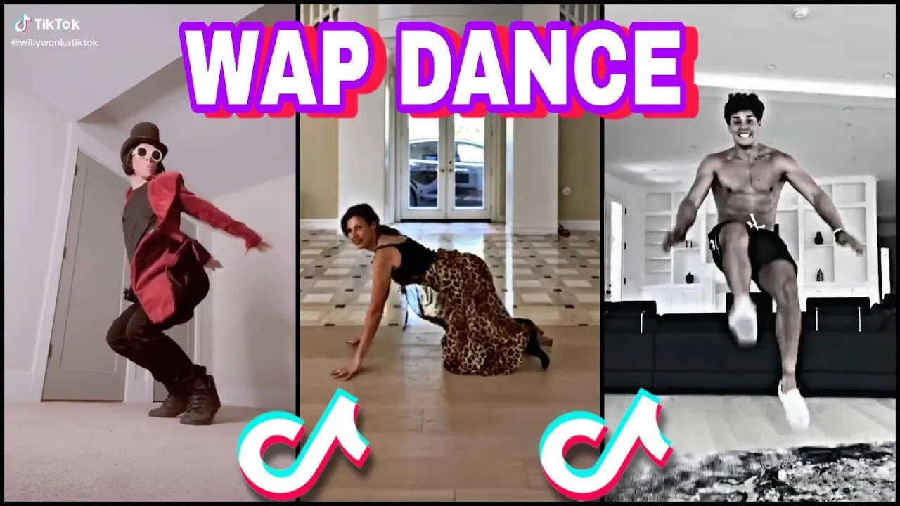 WAP Dance Challenge | TikTok Compilation