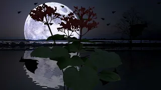 خلفية متحركة للمونتاج 4k بدون حقوق 