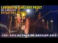 Lagu KESATRIA EMAS X WUKENG BERSATU POTONG EKOR RAJA  BLORONG