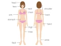 Body Parts Learn Label Adult