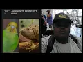 Snake Prince Vlogs Jackson Exotic Pet Expo