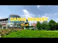 Download Lagu DANCE MONKEY-PAIJO (parodi JAWA) AMBYAR!!!!!!!