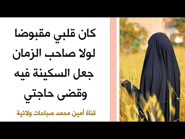 ⁣كان قلبي مقبوضا لولا صاحب الزمان جعل السكينة فيه وقضى حاجتي