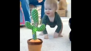 خخخخ دندنها