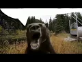 five lags at freddys lag bear gif but it s widescreen