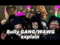 Jacksonville FL Bully gang and WAWG KTA explained