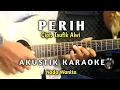 Download Lagu PERIH - ( Elvy S ) AKUSTIK KARAOKE Nada Wanita