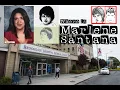 Marlene Santana Abducted 72Hrs After Birth - A Tarot Reading