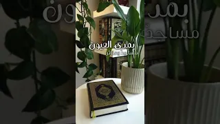 ملأ السماء النور حين تألقت أناشيد اناشيد اسلامية 