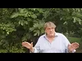 Download Lagu Henk kan eindelijk zijn abrikozen oogsten