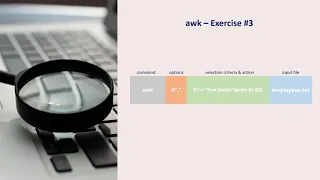 Processing Column Wise Data Using awk Command
