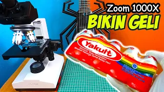 Download MILYARAN KEHIDUPAN BAKTERI BAIK PADA YAKULT | ZOOM 1000X MICROSCOPE MP3