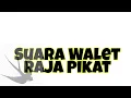 Suara Walet Raja Pikat